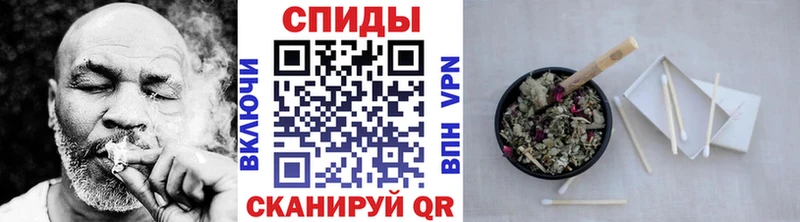Бутират буратино  Купить где  Энем 