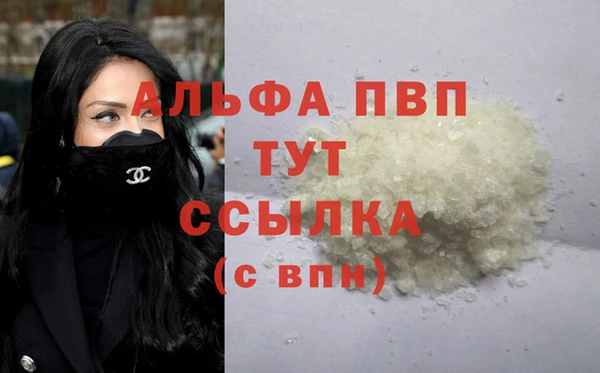 СК Инта