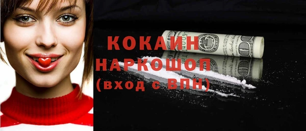 СК Инта