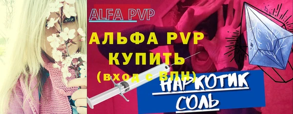 СК Инта