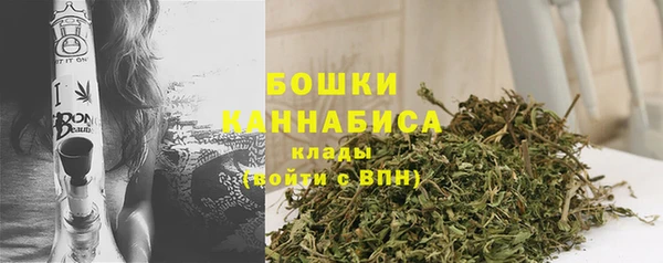 СК Инта