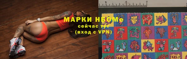СК Инта