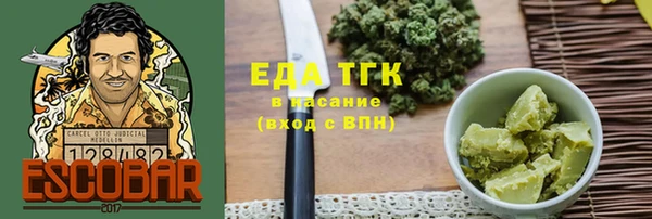 СК Инта