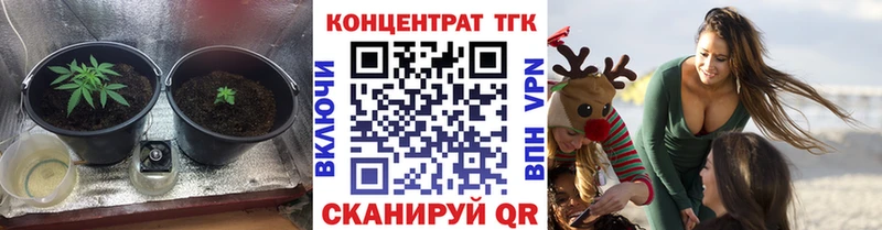 Купить  Энем  ТГК гашишное масло 