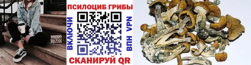 Купить закладки  Энем  Псилоцибиновые грибы прущие грибы 